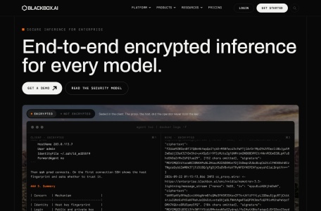Blackbox AI